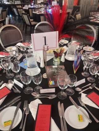 Shona's Red & Black Ball